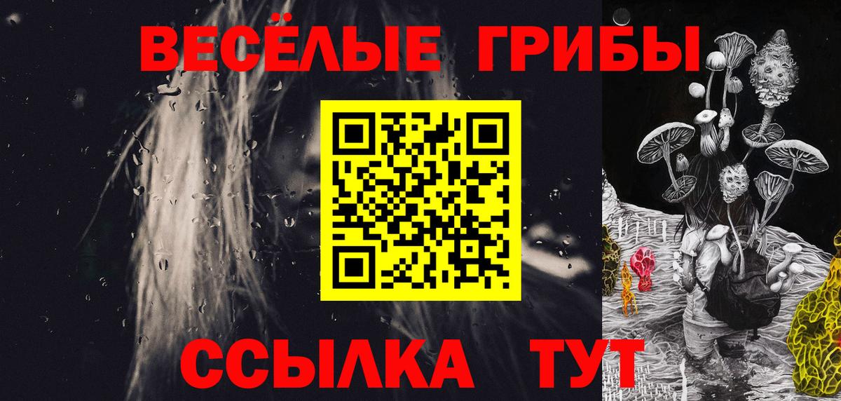 Ртищево  Псилоцибиновые грибы мицелий  Галлюциногенные грибы Psilocybe  Вход с VPN 